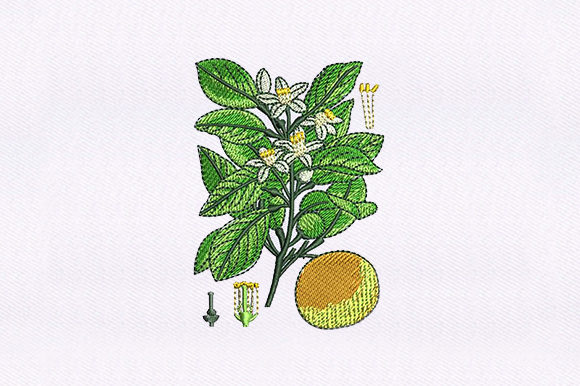 Floral Vines Orange Review